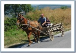 old fashioned wagon
